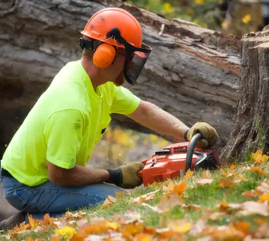 tree services Browerville